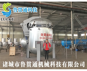 Vacuum pressure paint immersion equipment